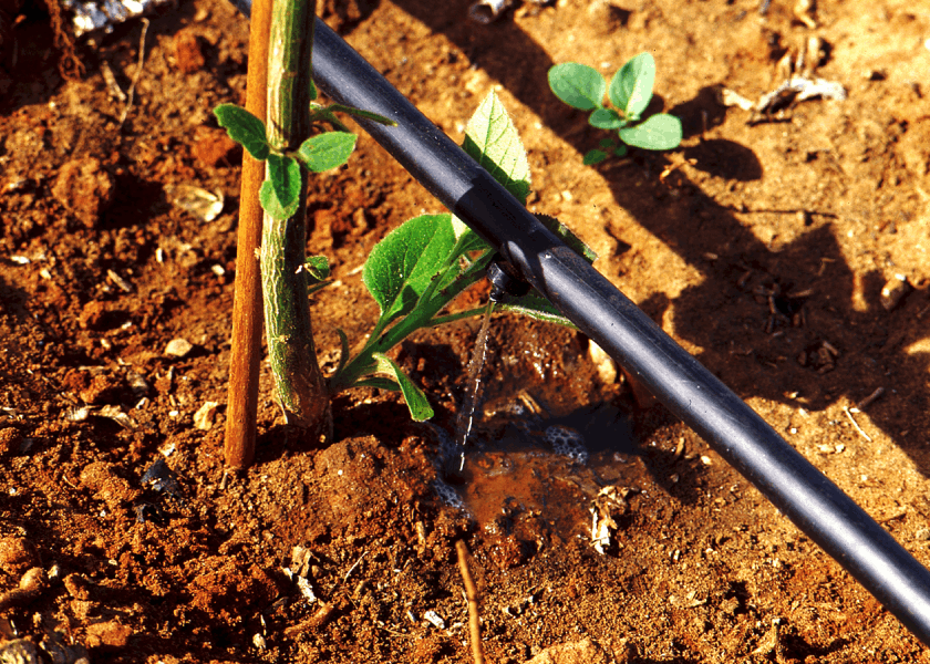 Drip products and driplines
