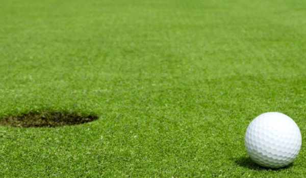 turf grass